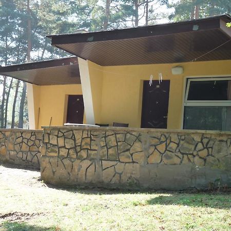 Hotel Osrodek Wypoczynkowy Jelonek Wolsztyn Exterior foto